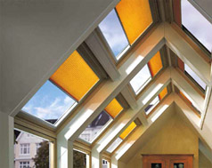 73379363-7e31-4e27-bc28-d346d5572c23-cs